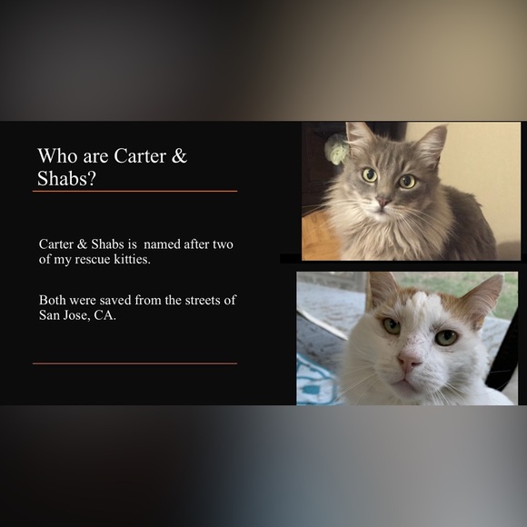 Meet your Posher, Sonia - Picture 6 of 8